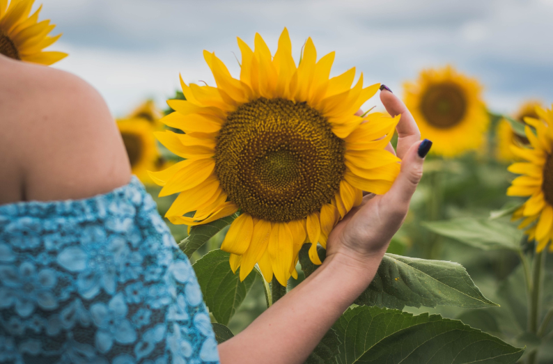 Woman holding a sunflower