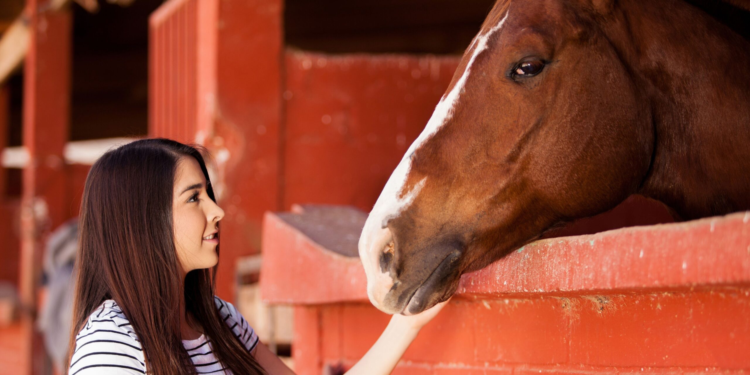 Equestrian Therapy (Equine-Assisted Therapy)