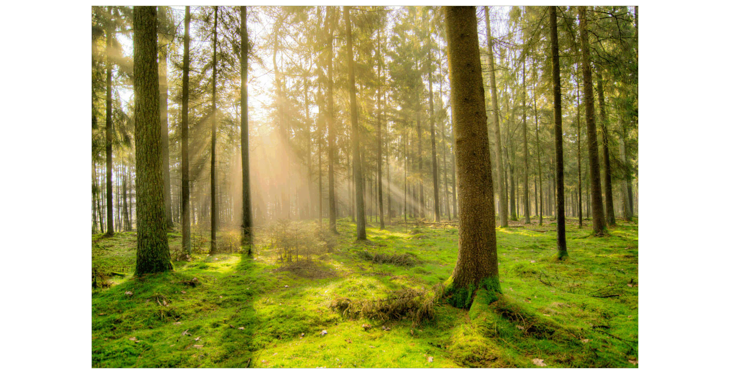 Karl’s Story – A Journey of Returning to Self